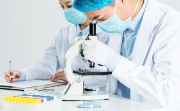 质量月的心得体会通用8篇