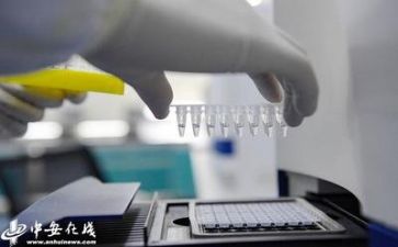 质量工作的心得体会模板6篇