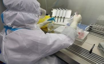 质量管理师工作总结6篇
