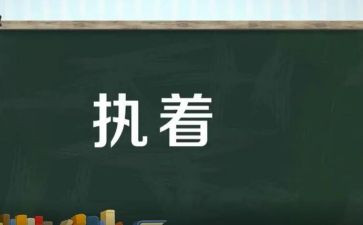 执着的我作文600字精选5篇