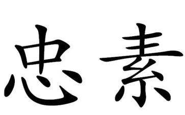 忠犬8公的故事读后感7篇