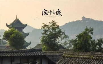 阆中小学调研报告6篇