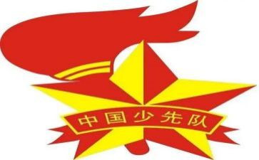 对中队的心得体会7篇