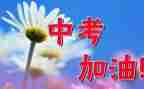 中考优秀作文范文最新6篇