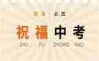 中考总结作文精选7篇