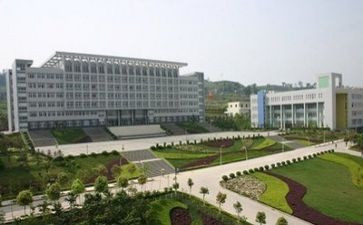中专护理专业自我鉴定优秀5篇