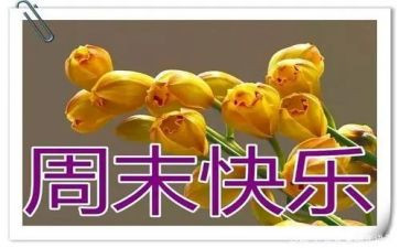 周末放风筝的作文7篇