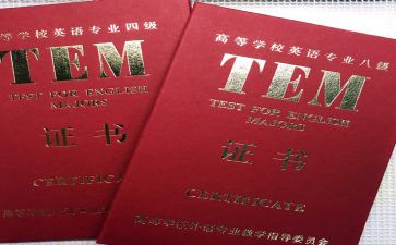 英语专四培训心得体会最新8篇