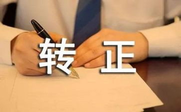 转正申请中自我鉴定模板5篇
