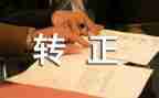 转正期工作计划通用7篇