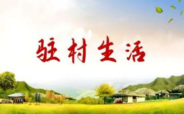 驻村队工作总结精选5篇