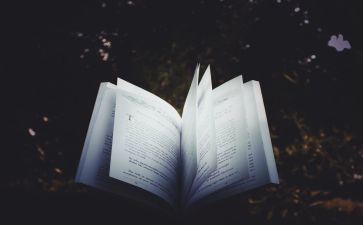 子衿古诗读后感最新8篇