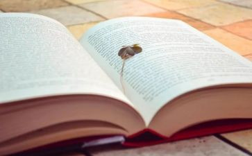 子衿古诗读后感5篇