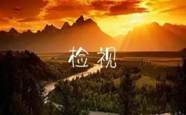 小学自检自查报告精选8篇