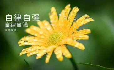 自律自强演讲稿5篇