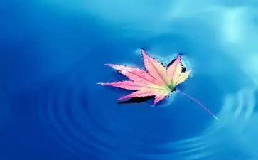 对自然的心得体会7篇