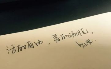 《为了自由呼吸的教育》读后感7篇