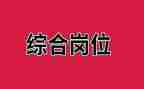 综合岗下半工作计划5篇