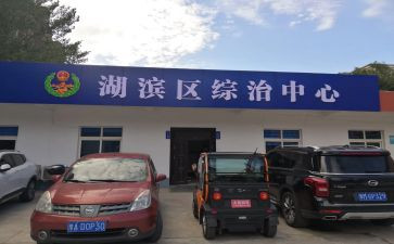 综治年度总结8篇