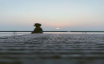 我走过的桥作文5篇