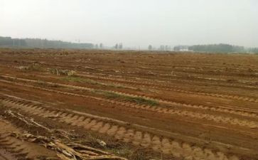 房屋转让租赁合同参考8篇