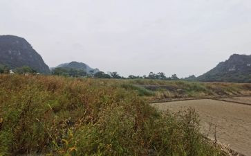 房屋租赁房屋合同推荐5篇